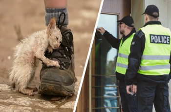 Danny Ignores Locals, Touches the Cat and Police Show up at His Doorstep